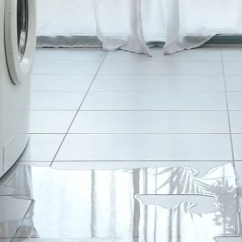 Appliance Leak Cleanup in Kenmore, WA