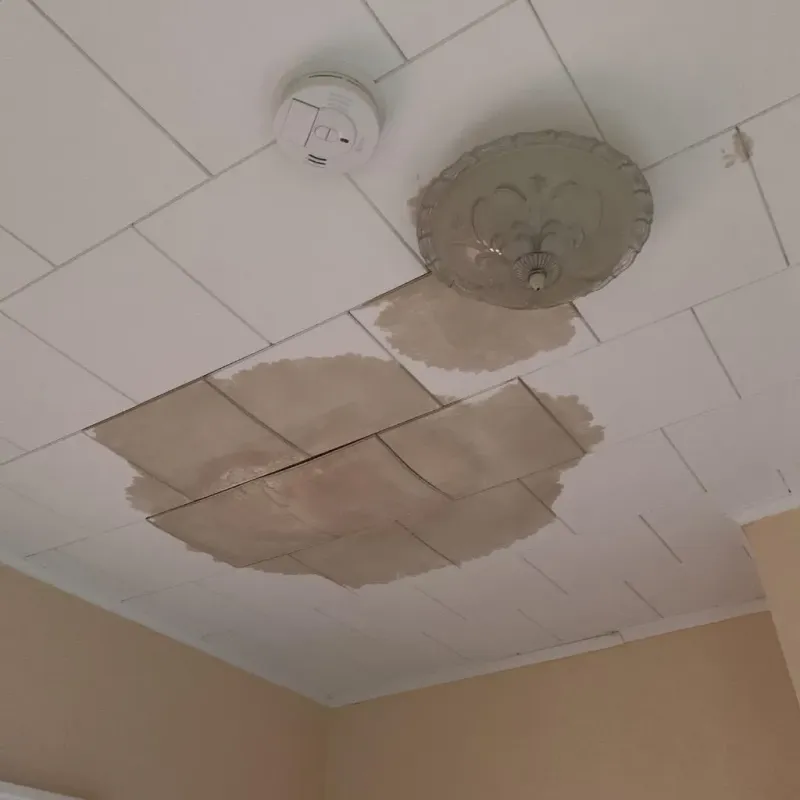 Ceiling Water Damage Repair in Kenmore, WA